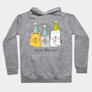 Cats Think You're Getting Old Hoodie